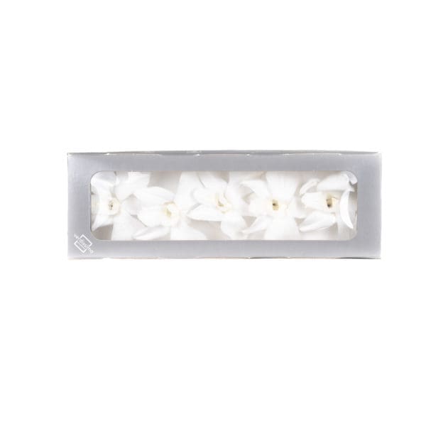 Dendrobium White