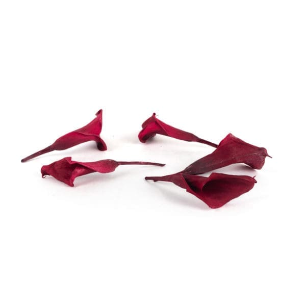 Mini Callas Burgundy