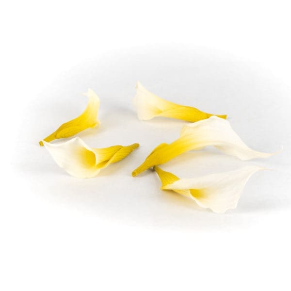 Mini Callas White