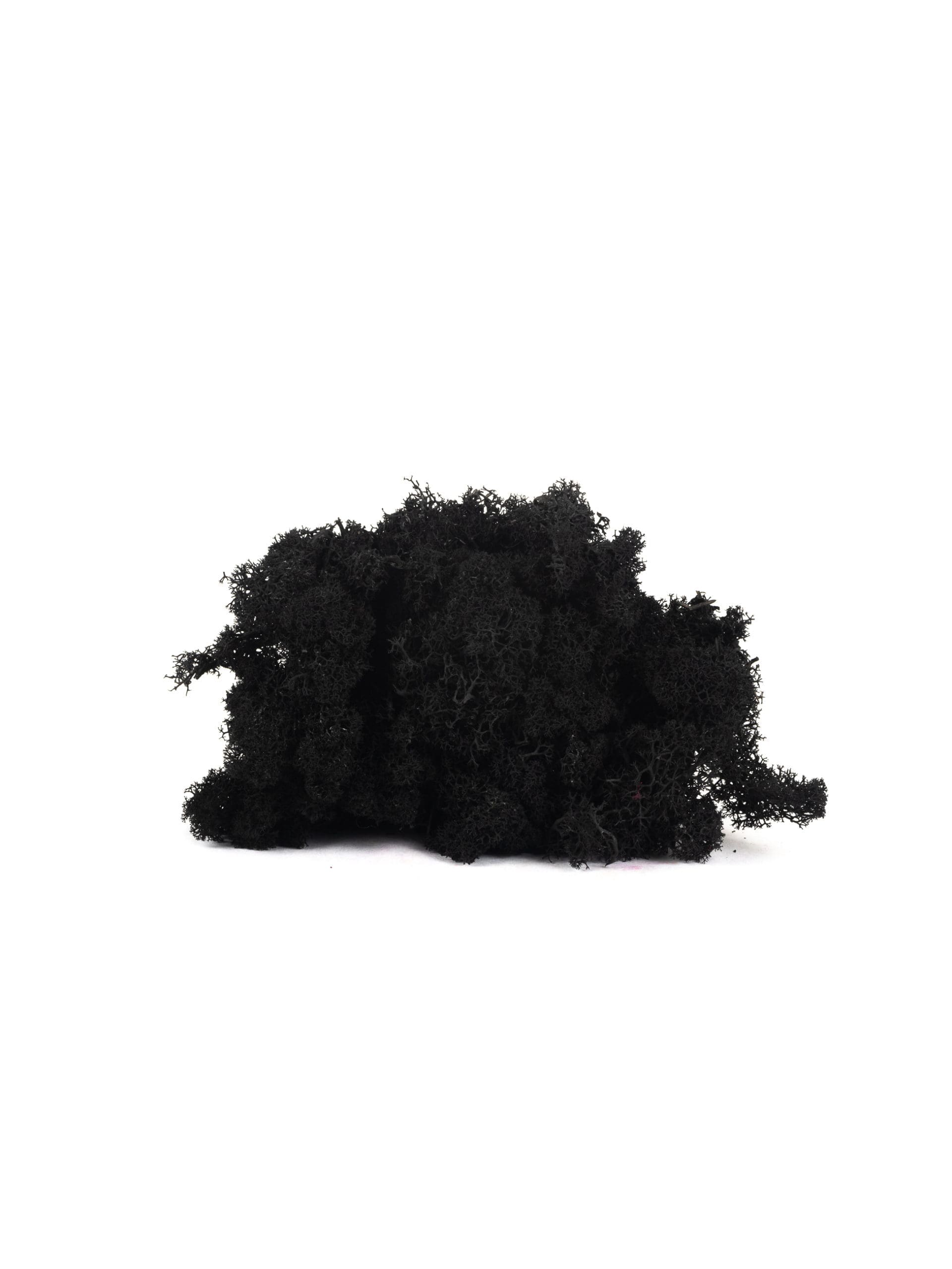 Reindeer20Black20CA20Bunch.jpg
