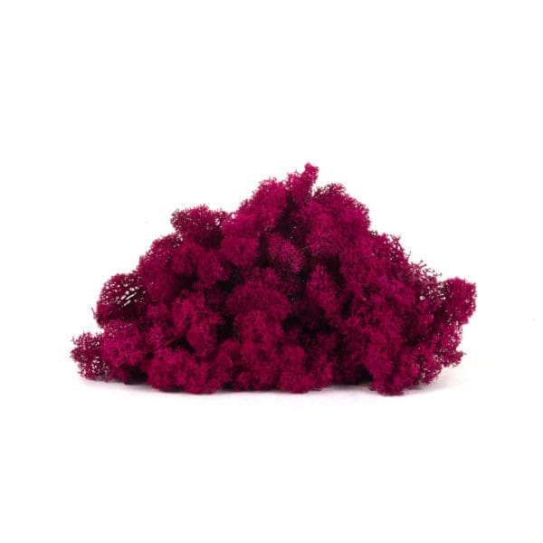 Reindeer Fuchsia CA (8 oz bag)
