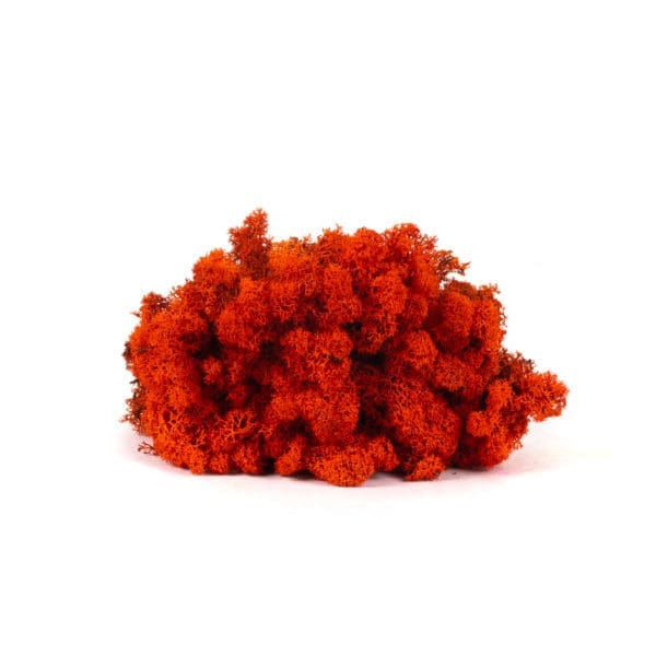 Reindeer Orange CA (8 oz bag)