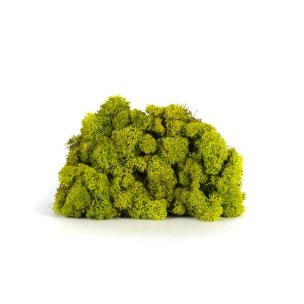 Reindeer Spring Green CA (8 oz bag)