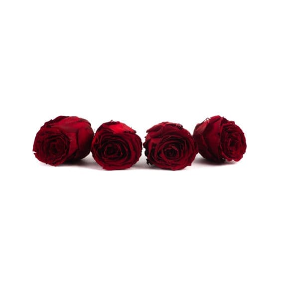 Rose 4 Heads Purple
