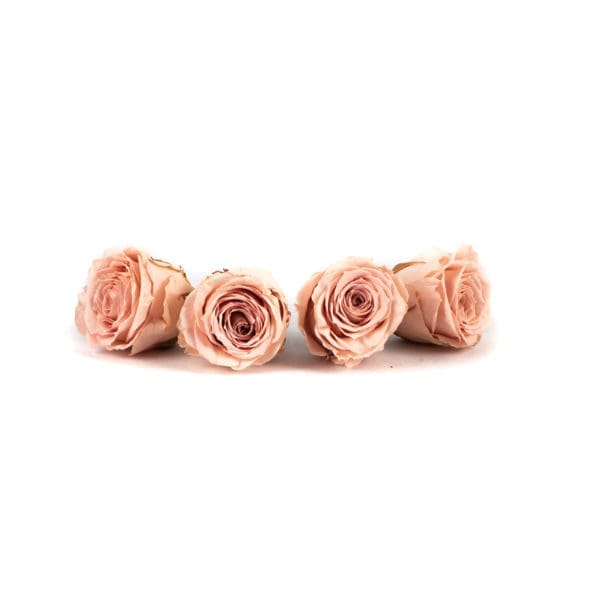 Rose 4 Heads Light Pink