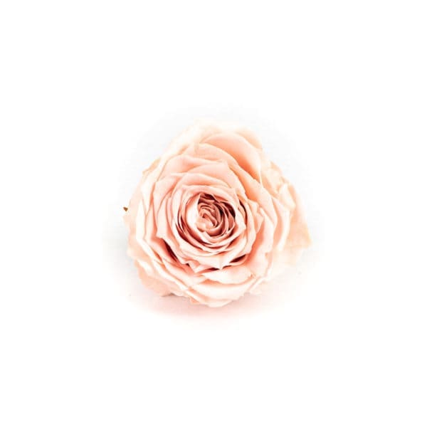 Rose 1 Head Pink