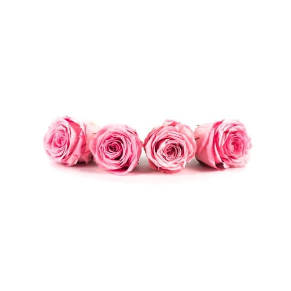 Rose 4 Heads Pink