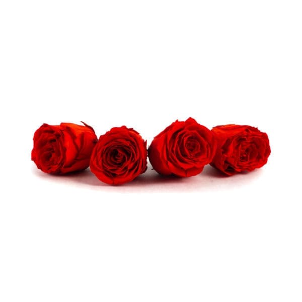 Rose 4 Heads Red