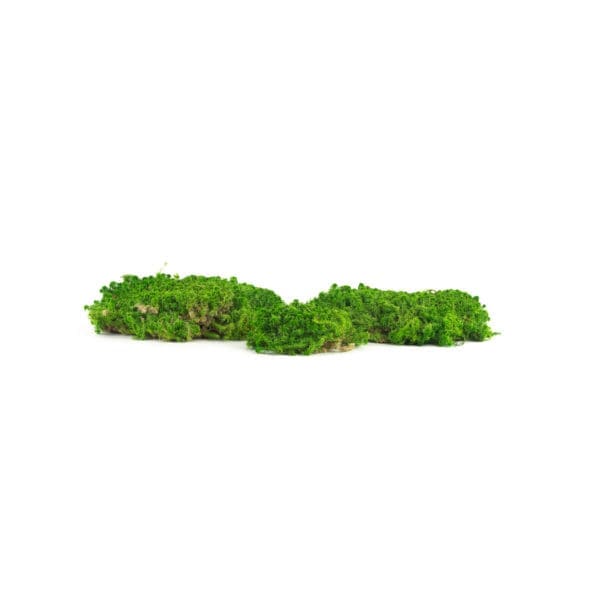 Sphagnum Grass Green Light CH (6 lbs MB)