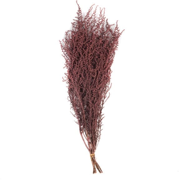 Stoebe Pink Small OH