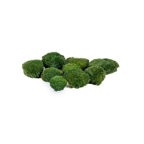 Pole Moss Mini Dark Green CA (1.5 lbs WB)