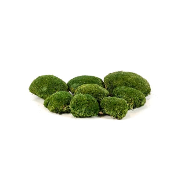 Pole Moss Dark Green CA (1 lb WB)