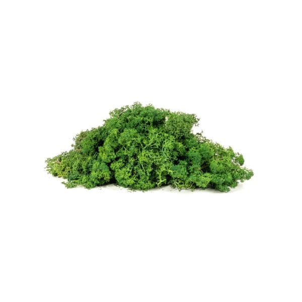 Reindeer Dark Green CA (3 lbs WB)
