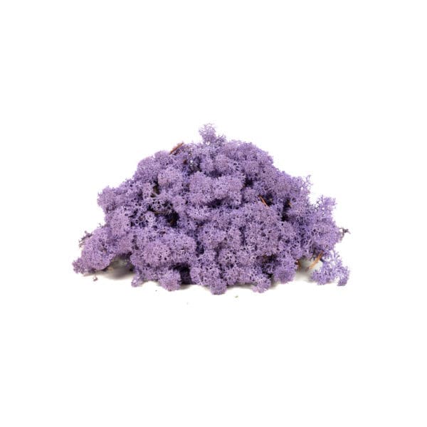 Reindeer Purple NO (9 lbs MB)