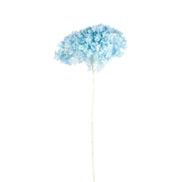 Hydrangea Head Blue NI