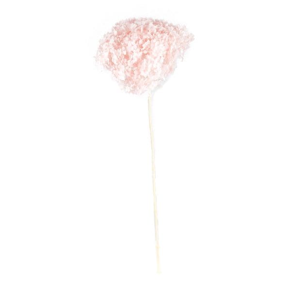 Hydrangea Head Pink NI