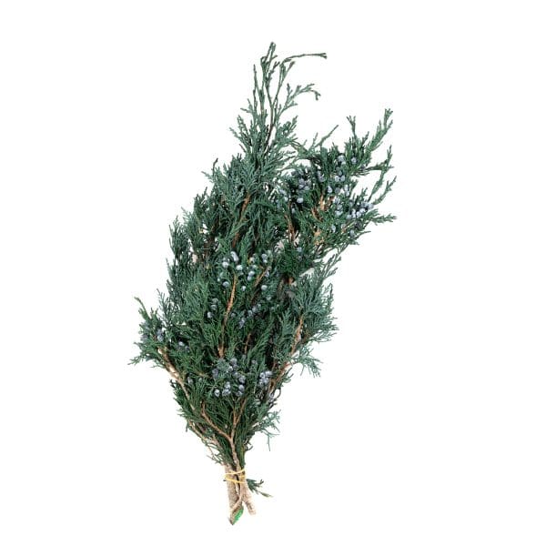 Mountain Juniper Green OH