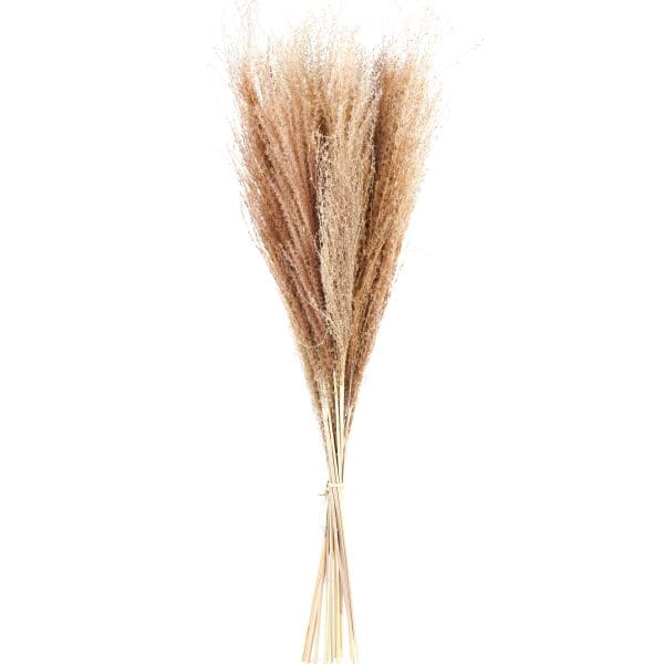 Silvergrass Natural NI