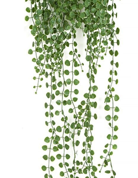 38'' Polyblend Button Leaf Bush Green AU