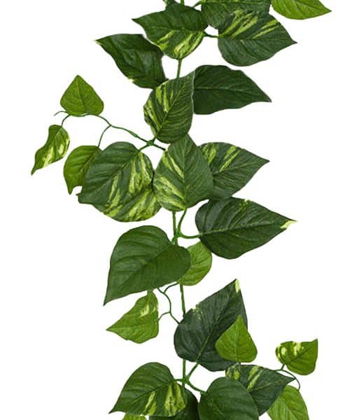 9' FR Pothos Garland Green/Cream AU