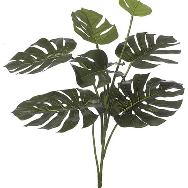34'' IFR Split Leaf Philodendron Green AU