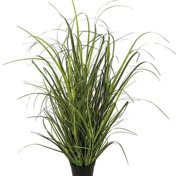 32'' Onion Grass Pot Lime Green AU