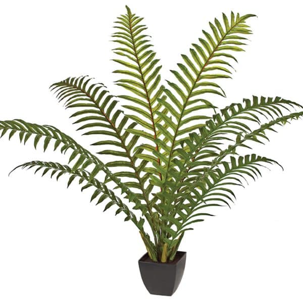 4' Sword Palm Bush Pot Green AU