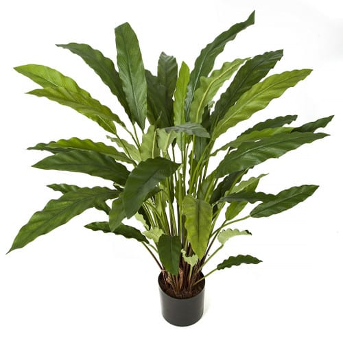 32'' IFR Spathiphyllum Pot Green AU