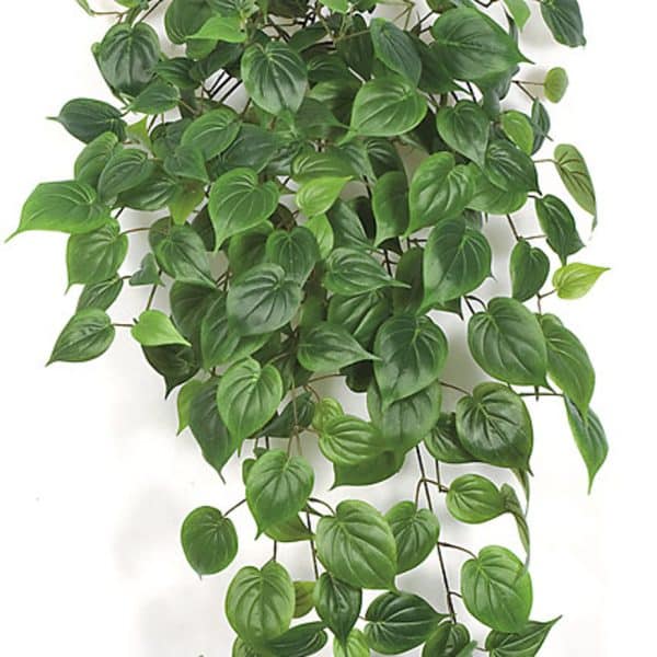 35'' FR Philodendron Leaf Bush Green AU