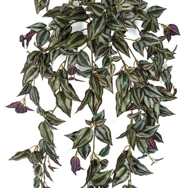 36'' FR/UV Tradescantia Bush Green AU