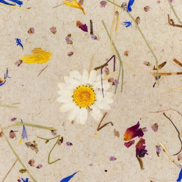 PapierFlora - ALPINE MEADOW light (ln.ft)