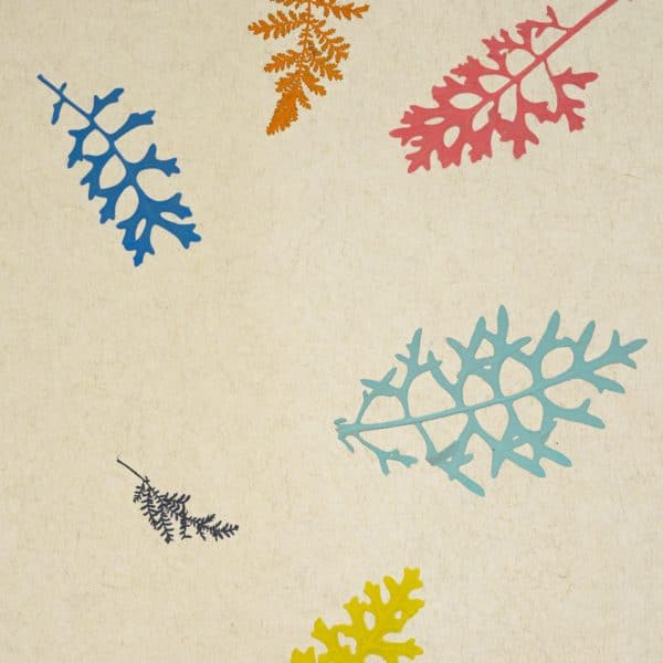 PapierFlora - COLOUR SPLASH (ln.ft)