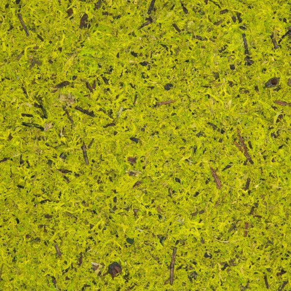 PapierFlora - MOSS LIGHT GREEN (ln.ft)