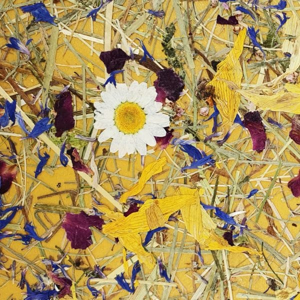 PapierFlora - MOUNTAIN MEADOW medium (ln.ft)