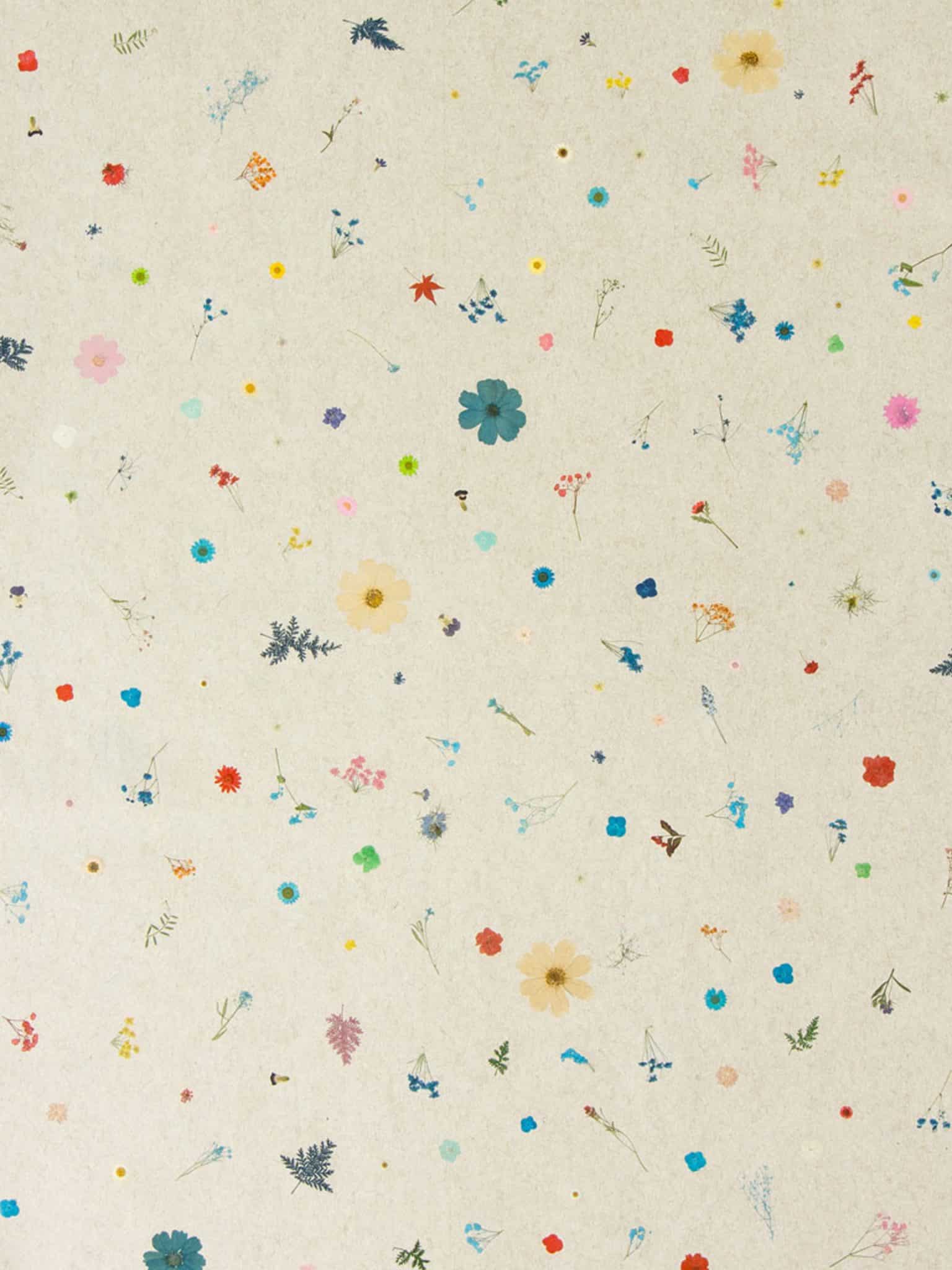 Superbloom.jpg