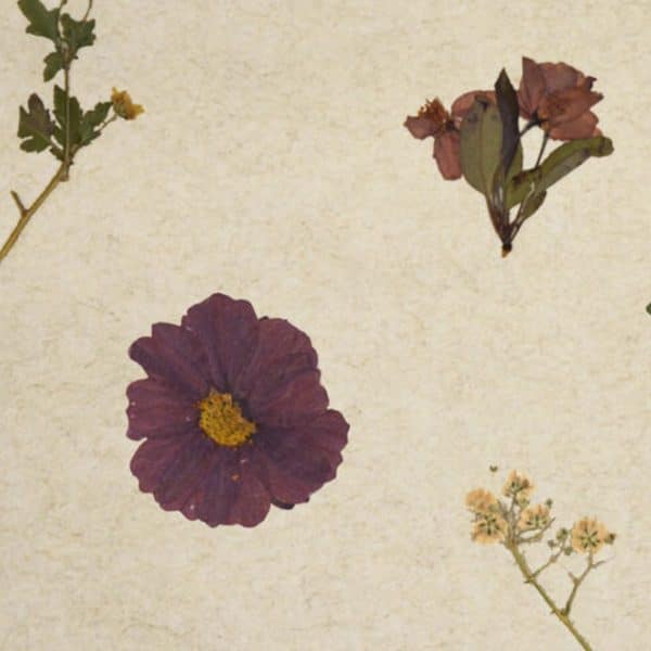 PapierFlora - VIOLETTE (ln.ft)
