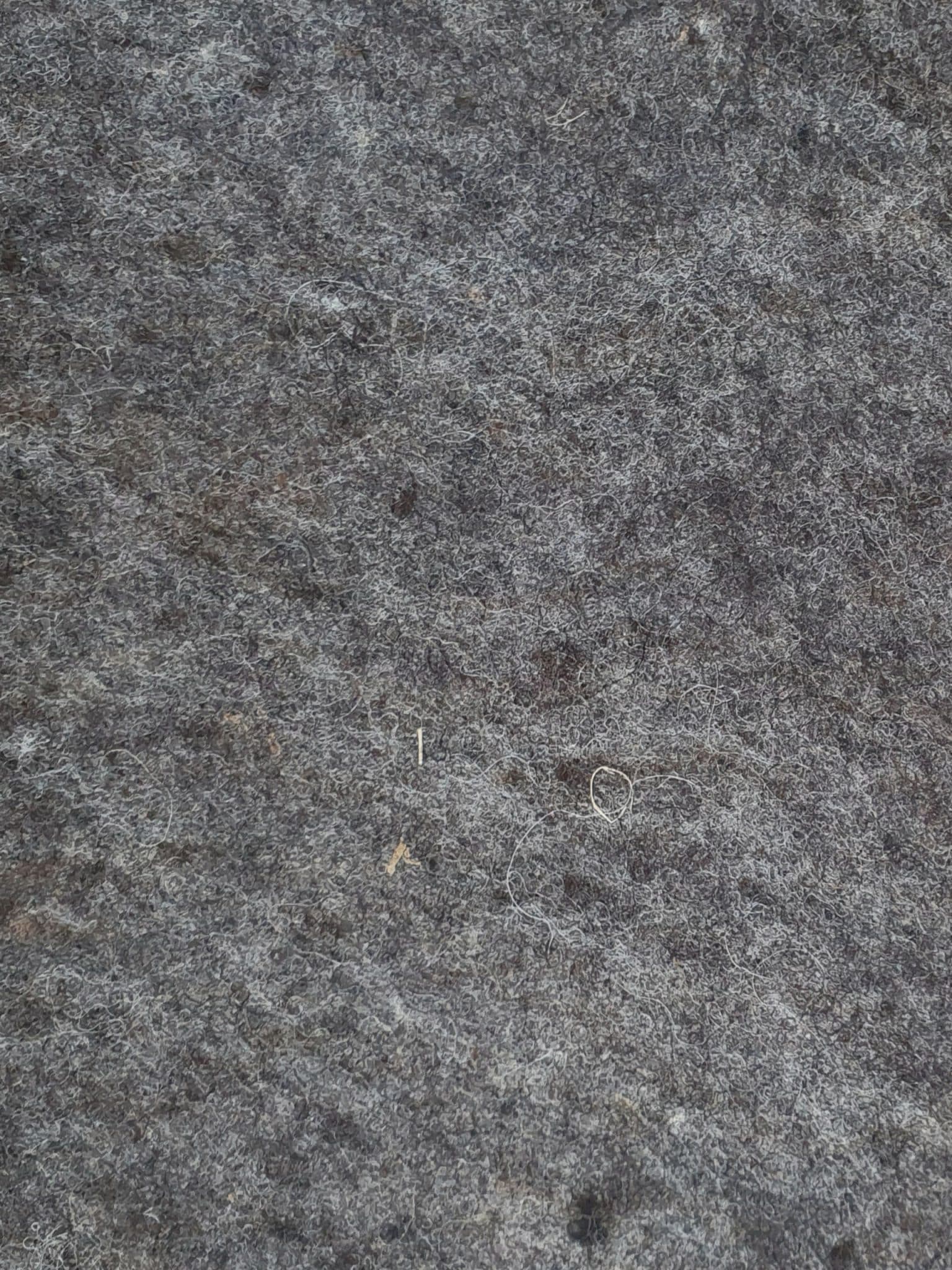 Wool.jpg