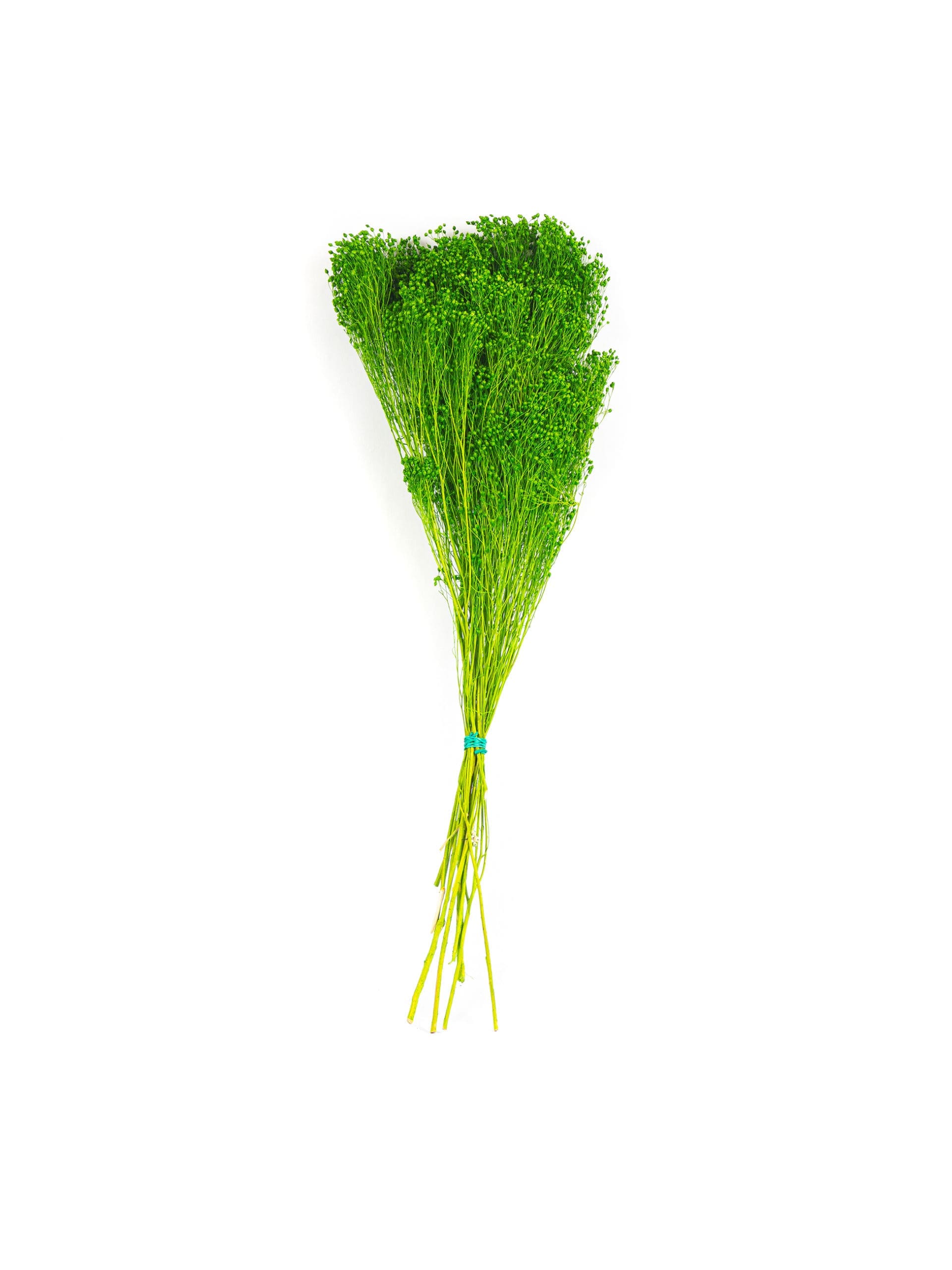 Brooms20Green20NI20Bunch-scaled-1.jpg