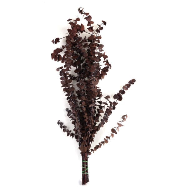 Eucalyptus Baby Gunny Red RU