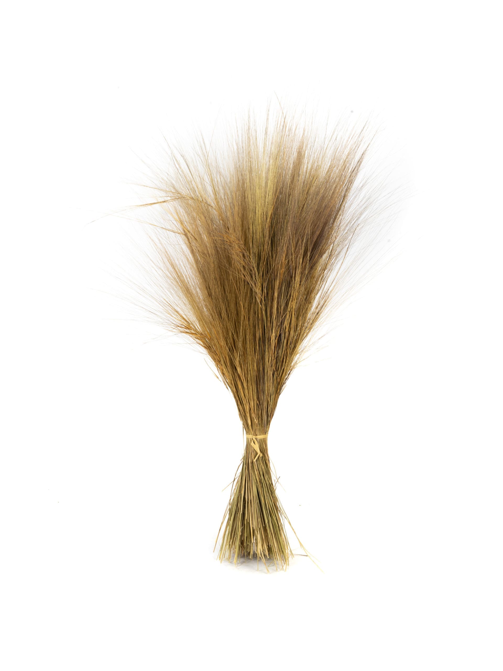 Barba20Natural20NI20Bunch.jpg